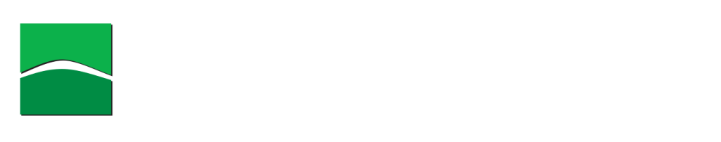 Medanito